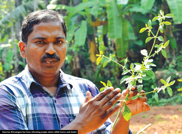 Sajeevan Kavumgara has been educating people about editble leaves and shoots